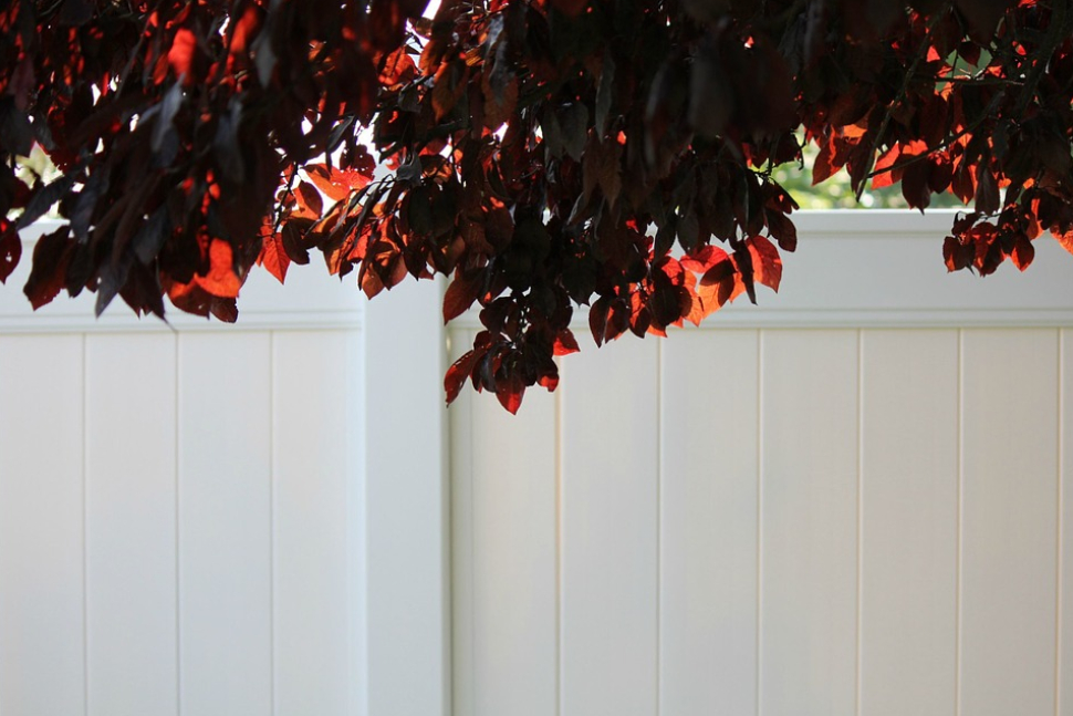 this image shows vinyl fences in Roseville, California